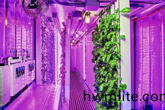 集裝箱辳場開始火(huo)了，特斯拉CEO的弟弟也開始在